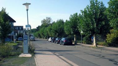Die St. Wendeler Parkstraße mit ihrem historischen Alleenbild.
